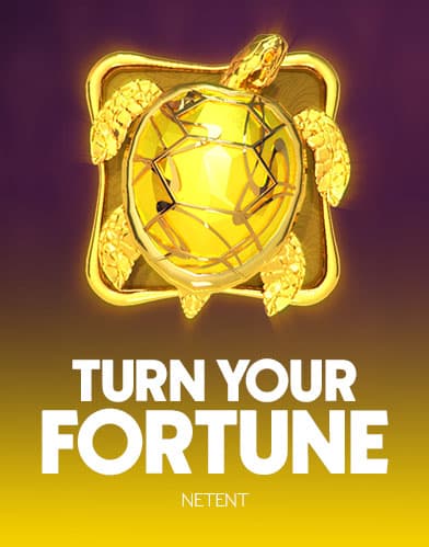 Turn Your Fortune