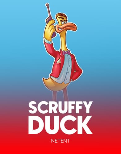 Scruffy Duck